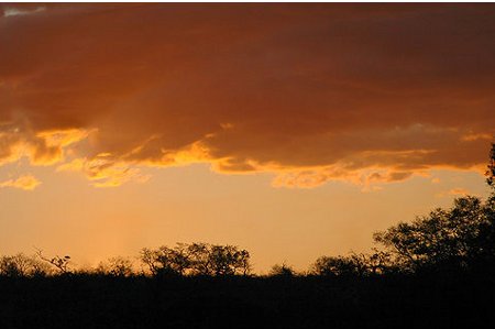 Kruger Park sunset